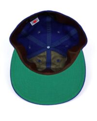 Papa Nui Apollo Cap