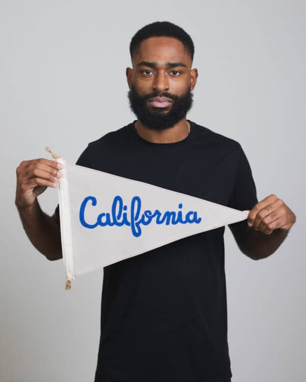 Slightly Choppy California Flag